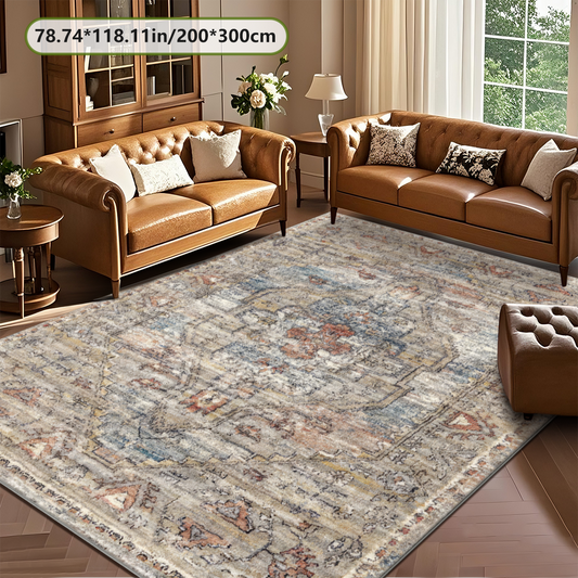 Thin Flat Weave Multi Neutral Living Room Rug Door Friendly Under Sofa Carpet