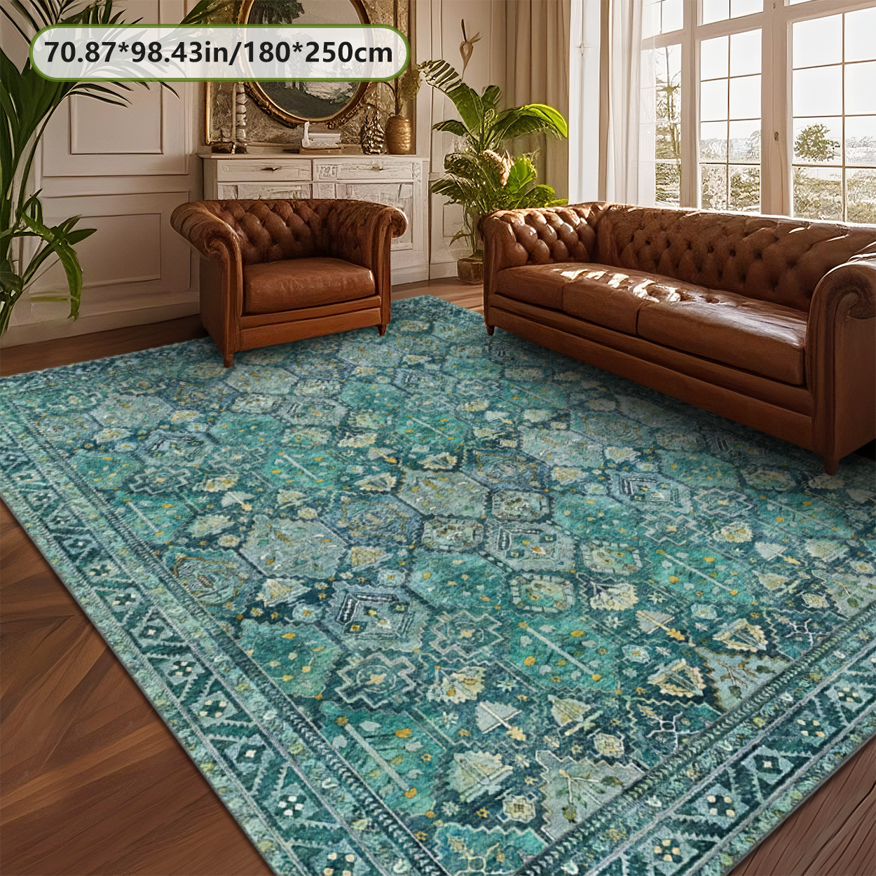 Non Slip Living Room Rug TPR Backing Soft Microfiber Carpet