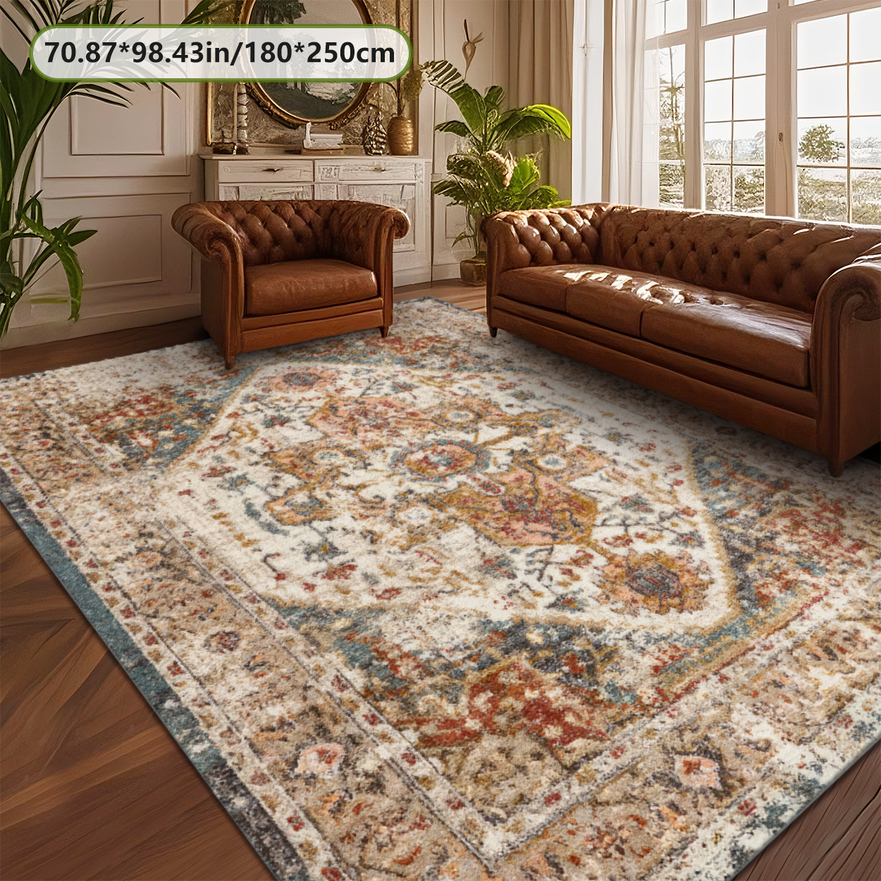 Distressed Medallion Rustic Living Room Rug Vintage Indoor Area Carpet