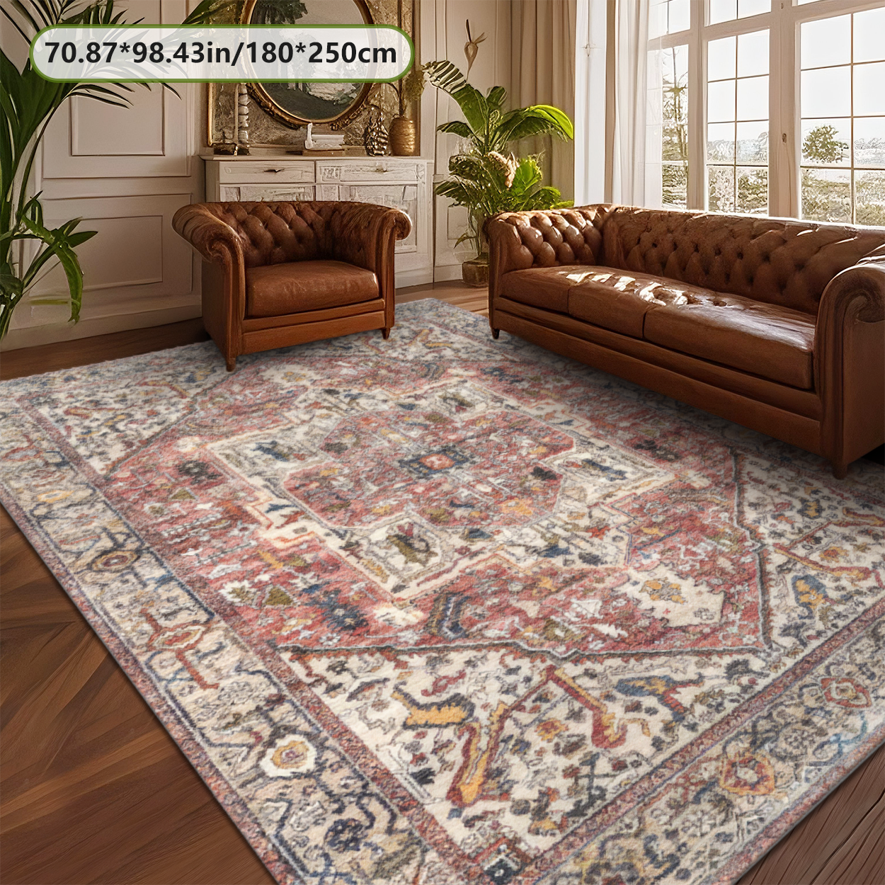Kid & Pet Friendly Printed Living Room Rug Odor Free Non Toxic Carpet