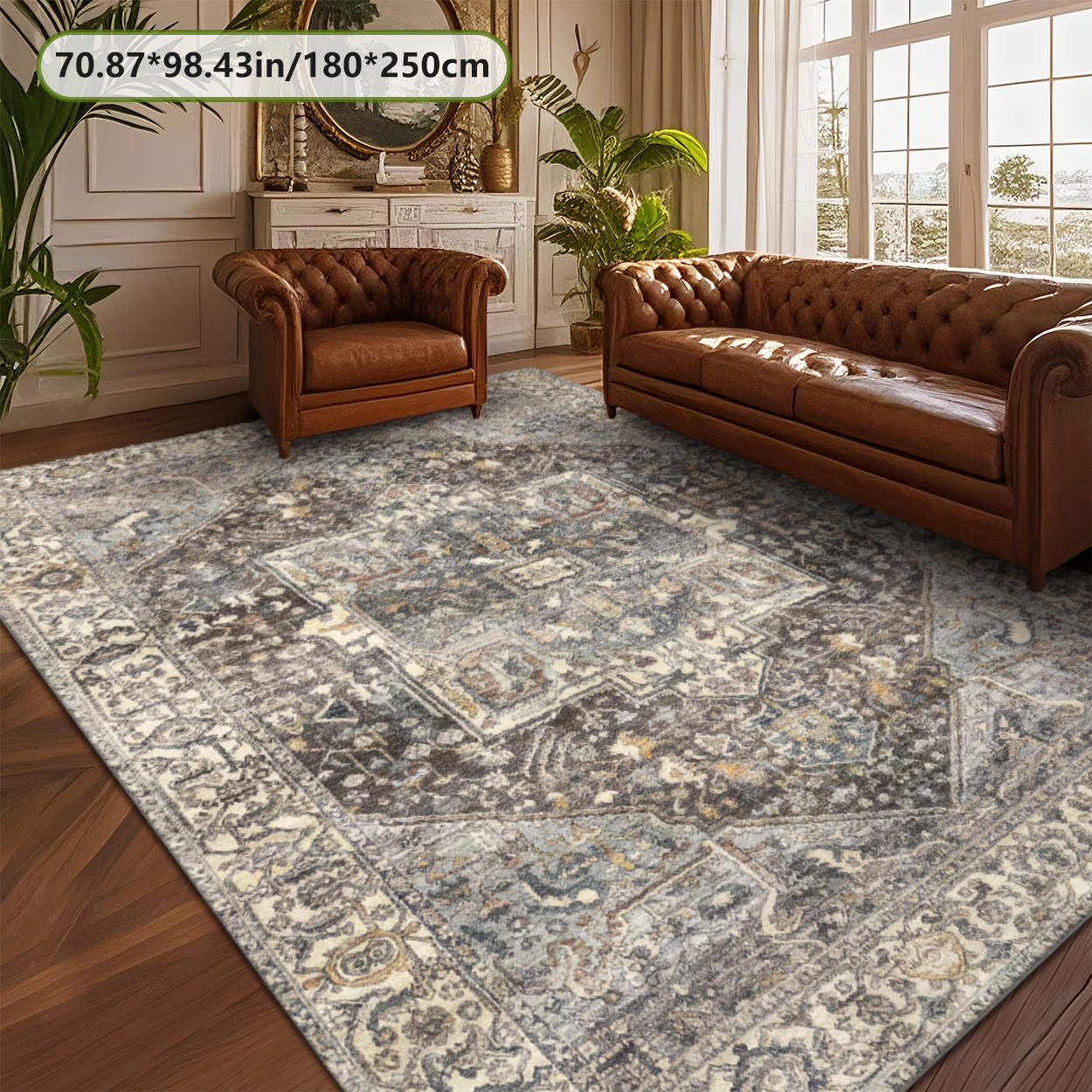 Living Room Rug Pet Safe Low Pile Decor Carpet