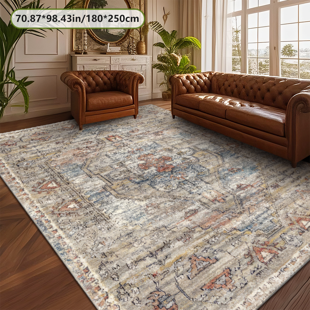 Thin Flat Weave Multi Neutral Living Room Rug Door Friendly Under Sofa Carpet