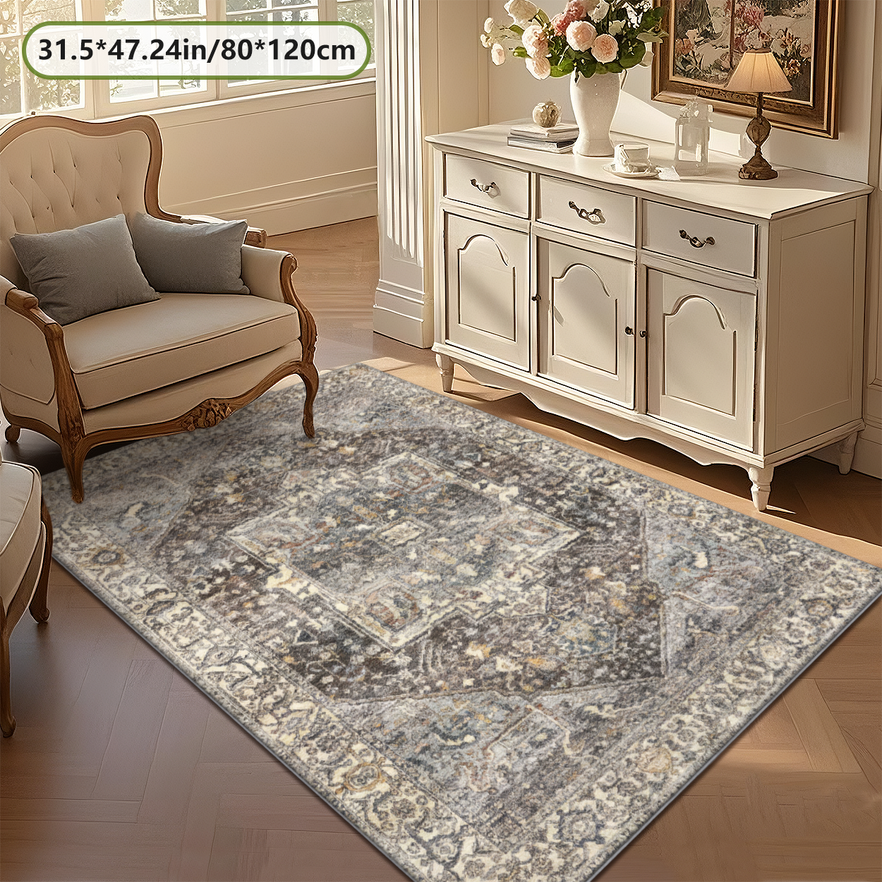 Living Room Rug Pet Safe Low Pile Decor Carpet