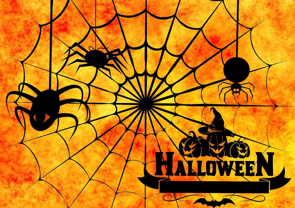 Halloween Orange Black Sofa Cover Classic Halloween Colors Couch Slipcover