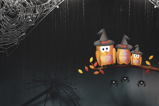 Spider Web Halloween Bathroom Floor Rug