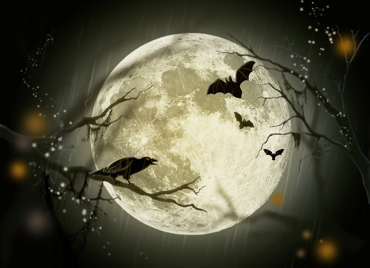 Halloween Bat Pattern Bath Mat for Seasonal Home