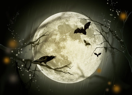 Halloween Bat Pattern Bath Mat for Seasonal Home